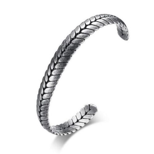 Titanium Steel Spike Bangle