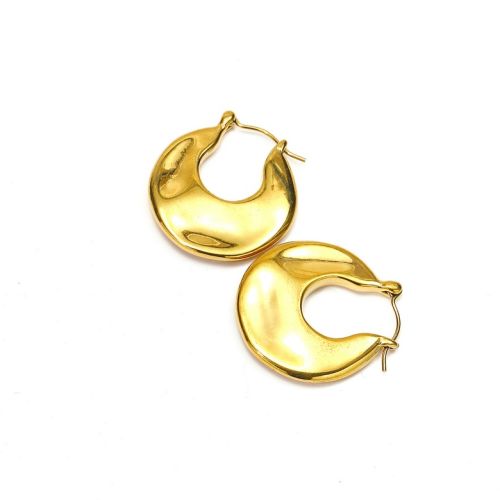 Gold Titanium Steel Hoop Earrings