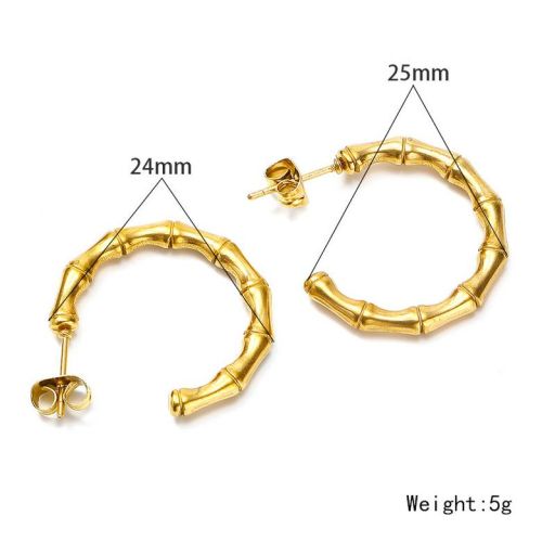 Gold Titanium Steel Hoop Earrings