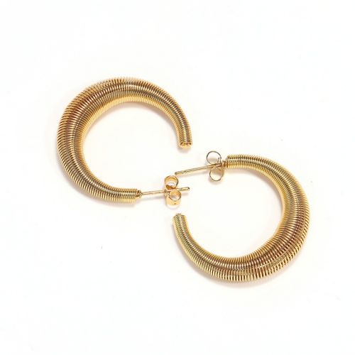 Gold Titanium Steel Hoop Earrings