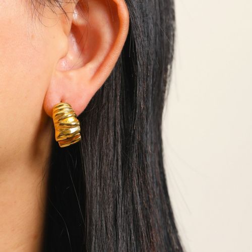 Gold Titanium Steel Texture Earrings