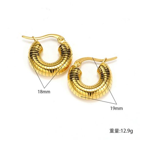 Gold Titanium Steel Hoop Earrings