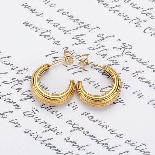 Gold Titanium Steel Hoop Earrings