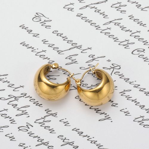 Gold Titanium Steel Hoop Earrings