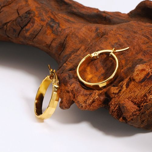 Gold Titanium Steel Hoop Earrings