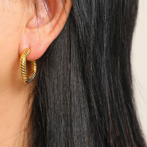 Gold Titanium Steel Hoop Earrings