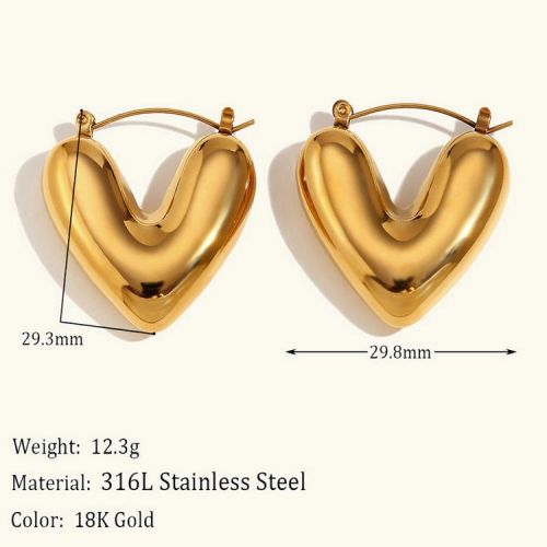 316L Steel Hoop Earrings