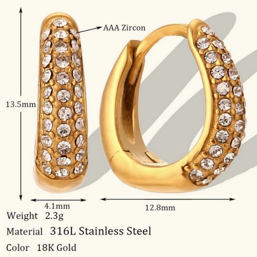 Gold 316L Steel Zircon Earrings