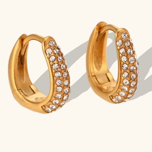 Gold 316L Steel Zircon Earrings