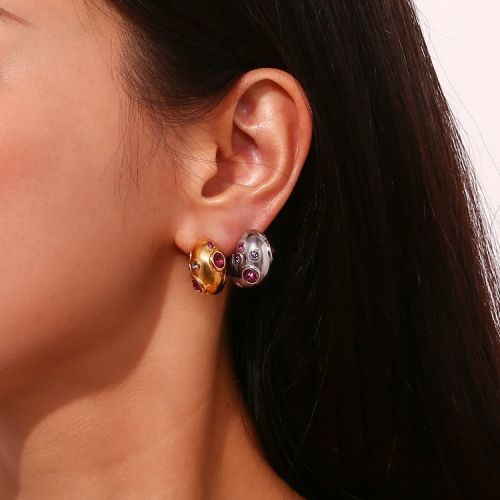 316L Steel Zircon Earrings