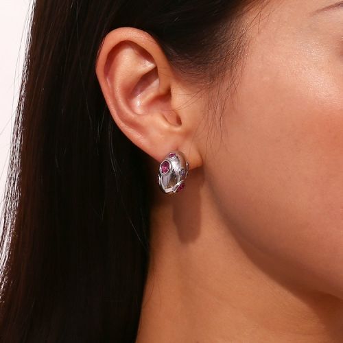 316L Steel Zircon Earrings