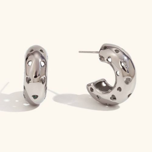 316L Steel Hoop Earrings