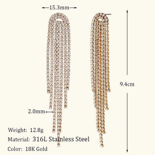 316L Steel Zircon Earrings