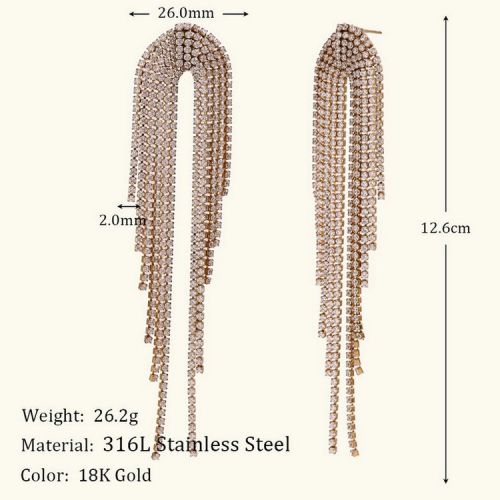 316L Steel Zircon Earrings