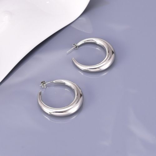 Silver Titanium Steel Hoop Earrings