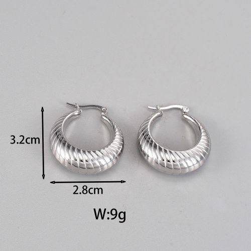 Titanium Steel Hoop Earrings