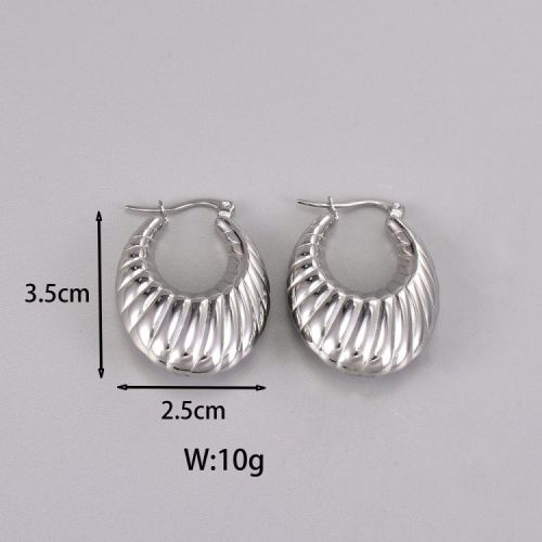 Titanium Steel Hoop Earrings