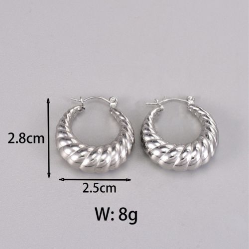 Titanium Steel Hoop Earrings