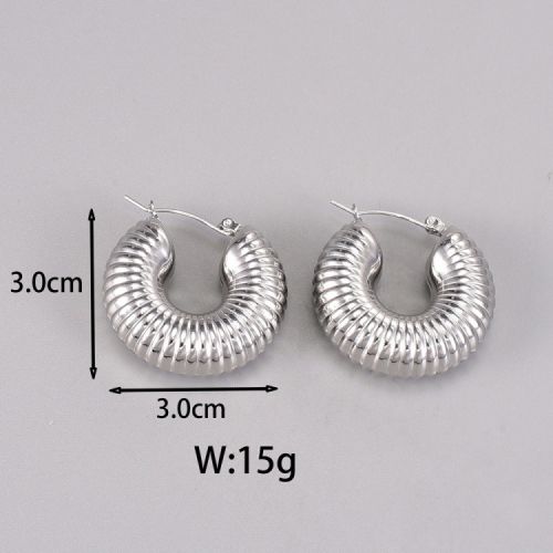 Titanium Steel Hoop Earrings