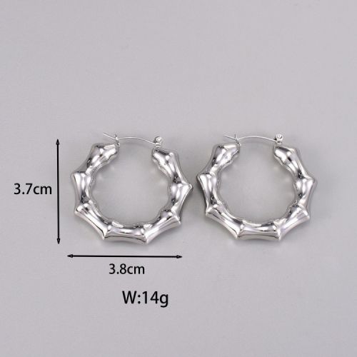 Titanium Steel Hoop Earrings