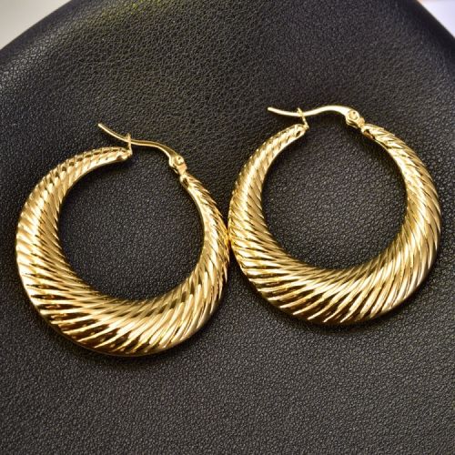 Titanium Steel Hoop Earrings