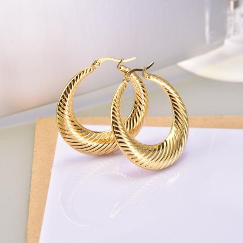 Titanium Steel Hoop Earrings