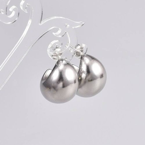 Titanium Steel Smooth Earrings