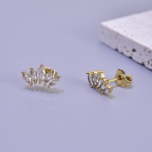 Gold Titanium Steel and White Zircon Earrings