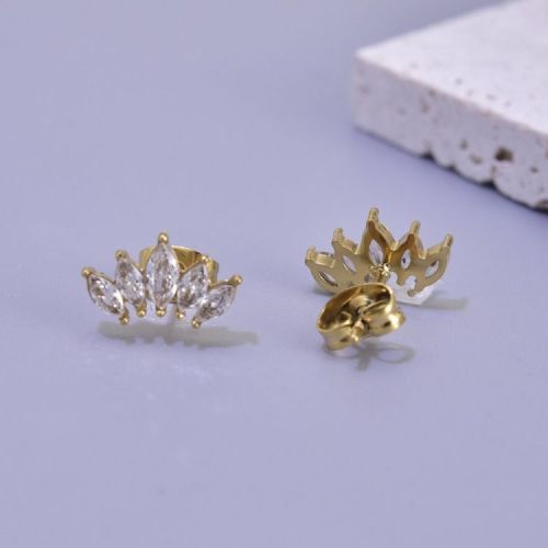 Gold Titanium Steel and White Zircon Earrings