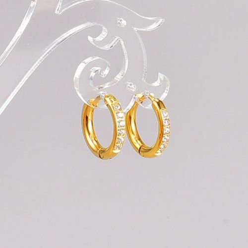 Gold Titanium Steel and White Zircon Earrings