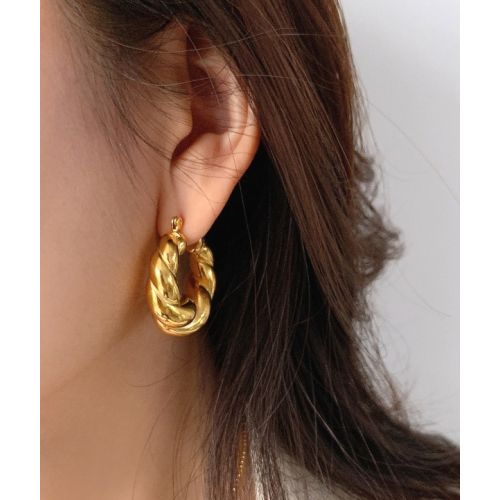 Gold Titanium Steel Hoop Earrings