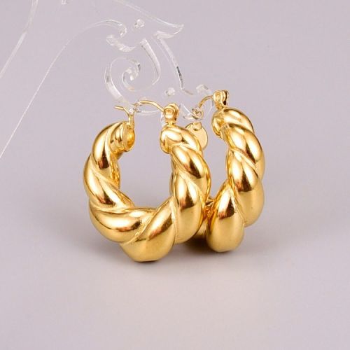 Gold Titanium Steel Hoop Earrings