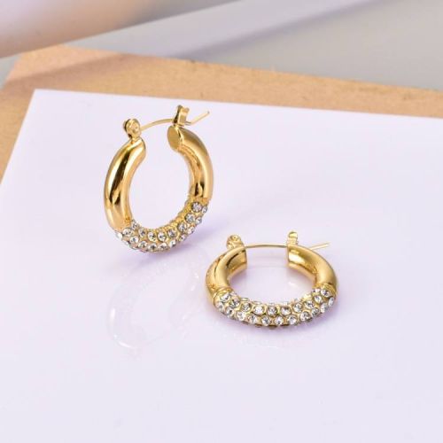 Gold Titanium Steel Zircon Earrings