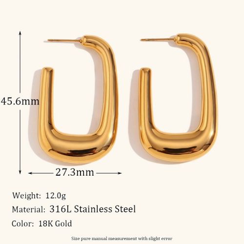 316L Steel Hoop Earrings