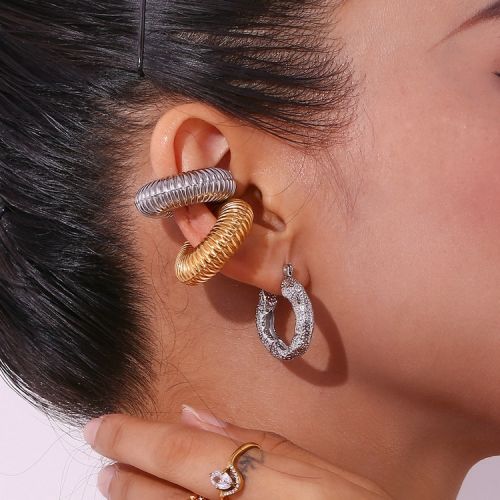 316L Steel Hoop Earrings