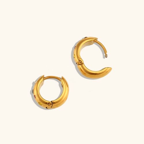 Gold 316L Steel and Combined Zircon Hoop Earrings