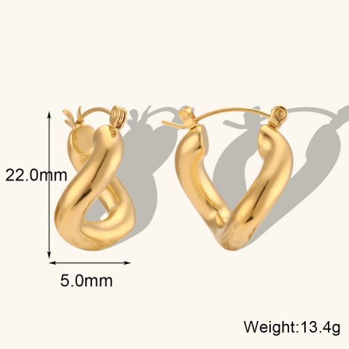 316L Steel Hoop Earrings