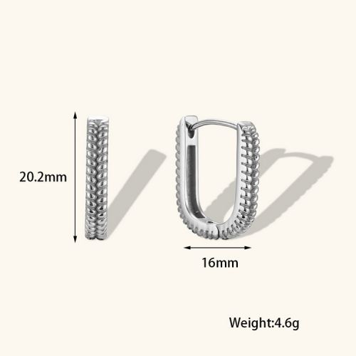 316L Steel Hoop Earrings