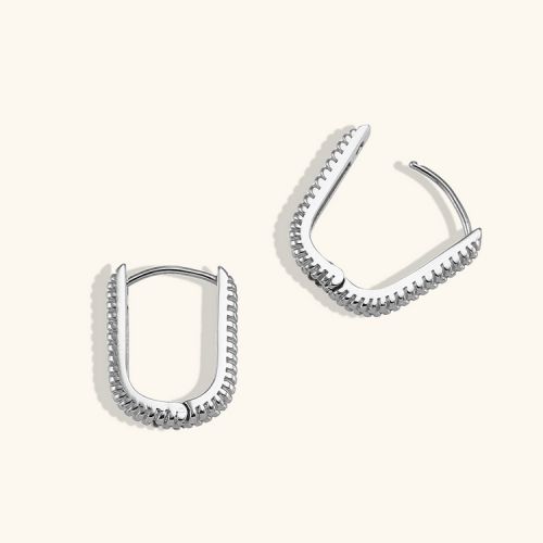 316L Steel Hoop Earrings