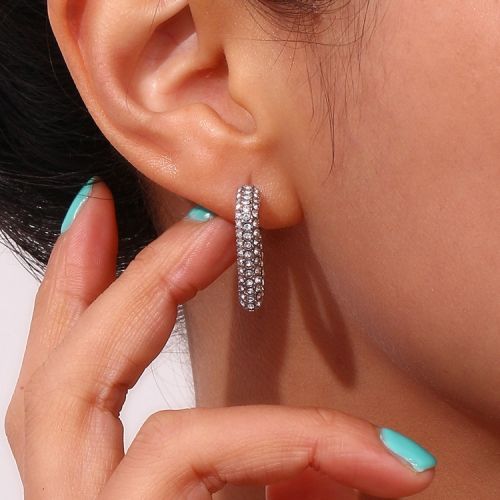 316L Steel and White Zircon Earrings