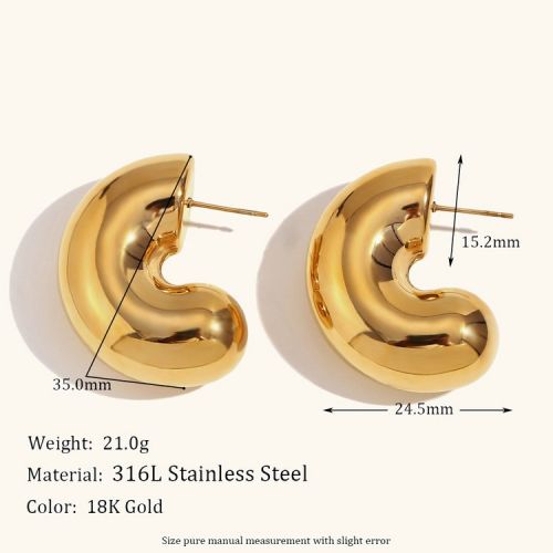 316L Steel Smooth Earrings