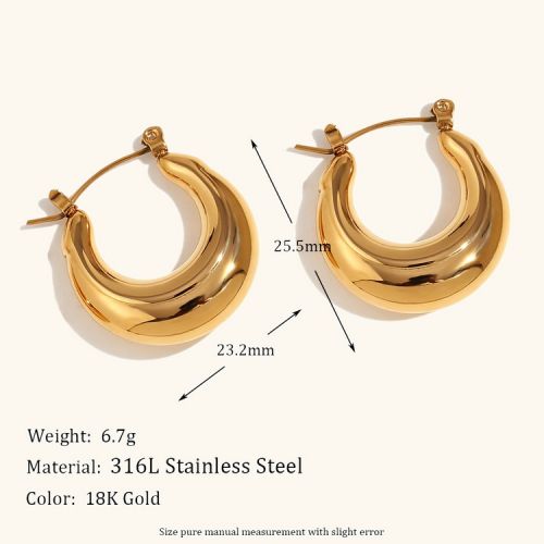 316L Steel Hoop Earrings