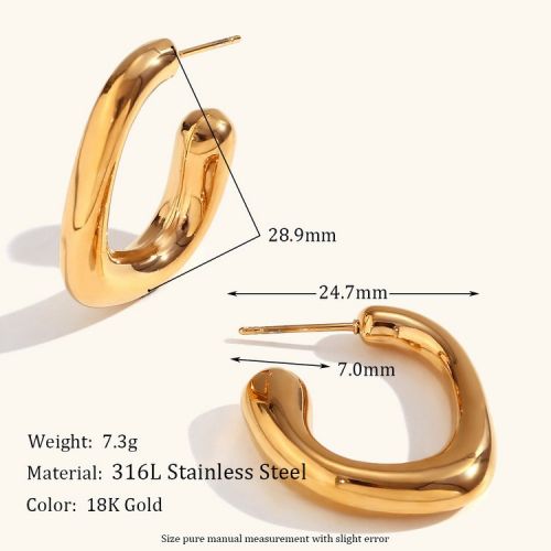 316L Steel Hoop Earrings