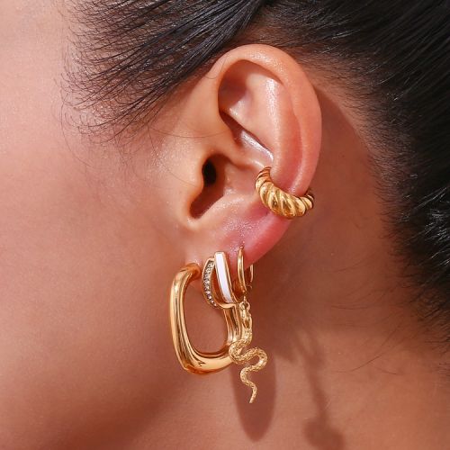 316L Steel Hoop Earrings