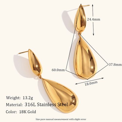 316L Steel Long Earrings