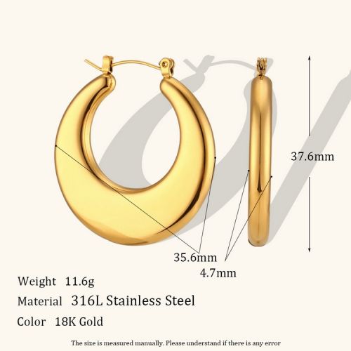 316L Steel Hoop Earrings