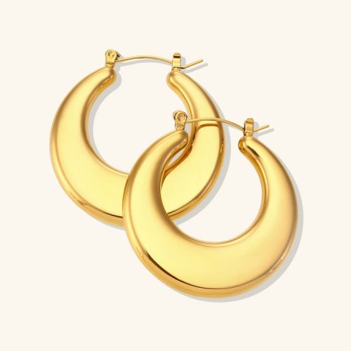 316L Steel Hoop Earrings