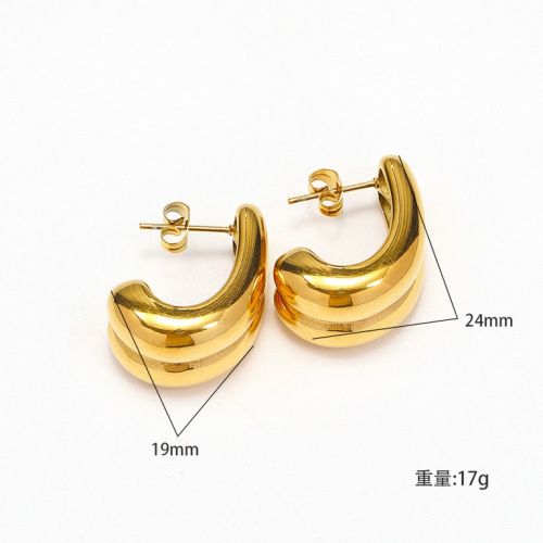 Gold Titanium Steel Smooth Earrings