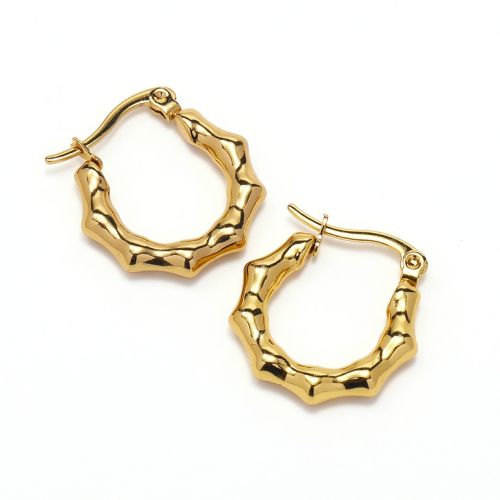 Gold Titanium Steel Hoop Earrings