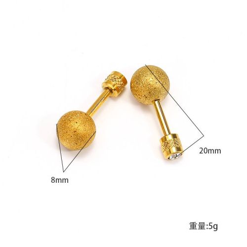 Gold Titanium Steel Earrings